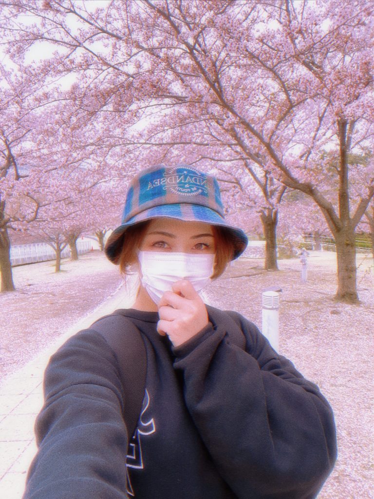 新潟市の桜