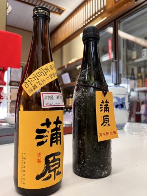 海中熟成酒とヴィンテージ日本酒🌊