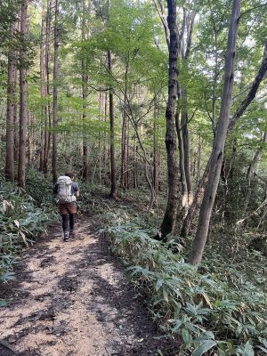 秋の山登り⛰