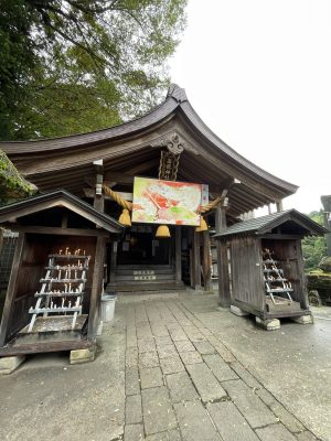 今更ブログ「Road to Riches!?」