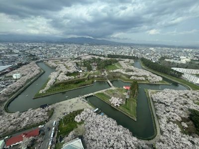 行ってきました！函館！