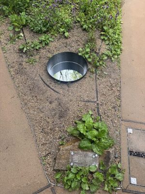 ３回目万博③　静けさの森