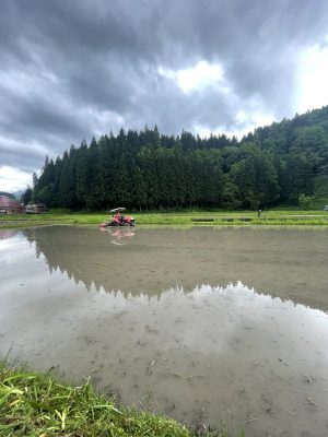 続・田んぼ研修 in 阿賀町