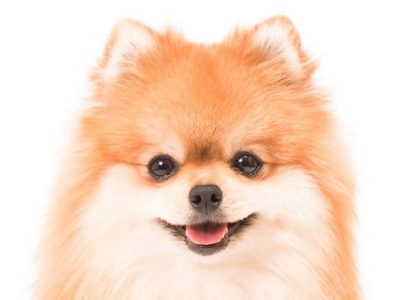 テスト投稿