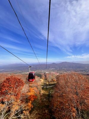 季節は秋から冬へ・・・