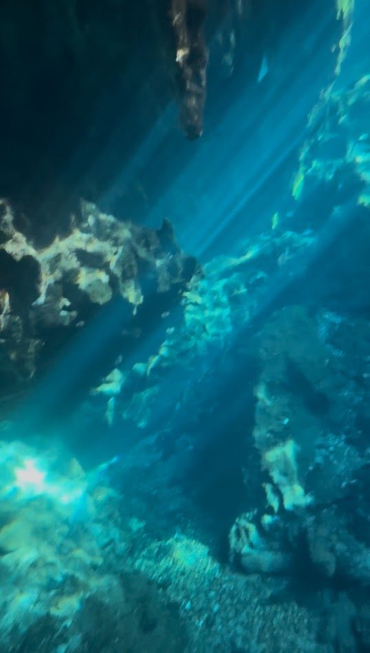 メキシコ旅②　グラン・セノーテ、セノーテ・イキル