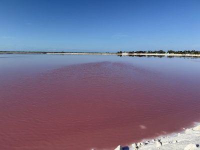 メキシコ旅④　ピンク・レイク