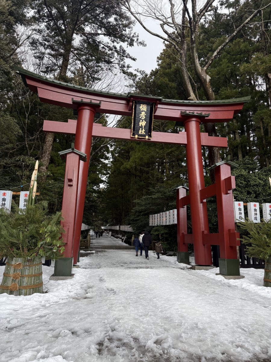 あけましておめでとうございます🩷