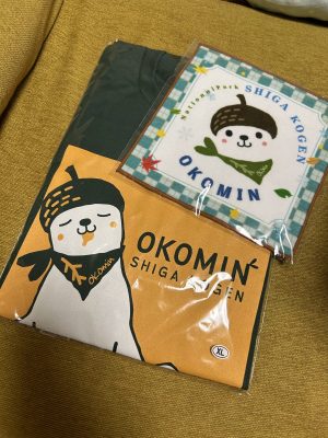 スキーリゾート