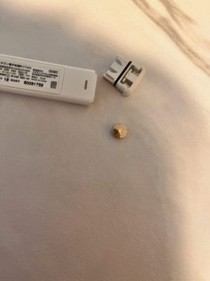 おひさしぶりです