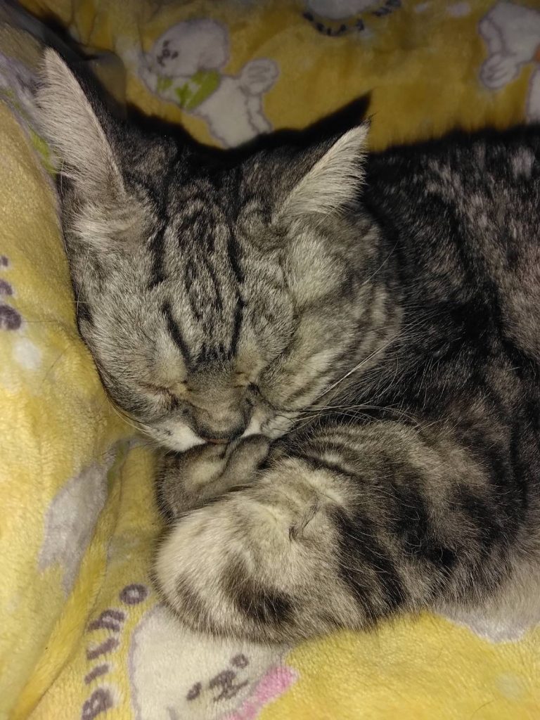 今週放送で話をしていた…