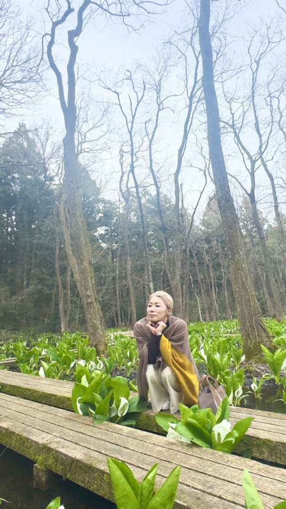 五泉四華・水芭蕉