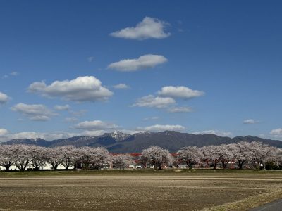 春が大好き！お花が大好き！