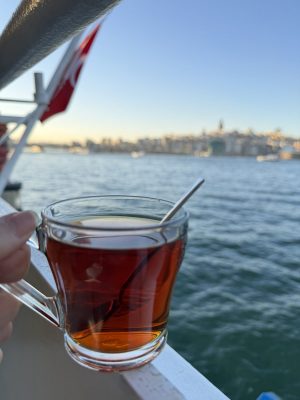 イスタンブール⑧ ボスポラス海峡クルーズ