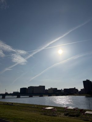 初夏のいろいろ