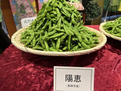 えだまめの季節