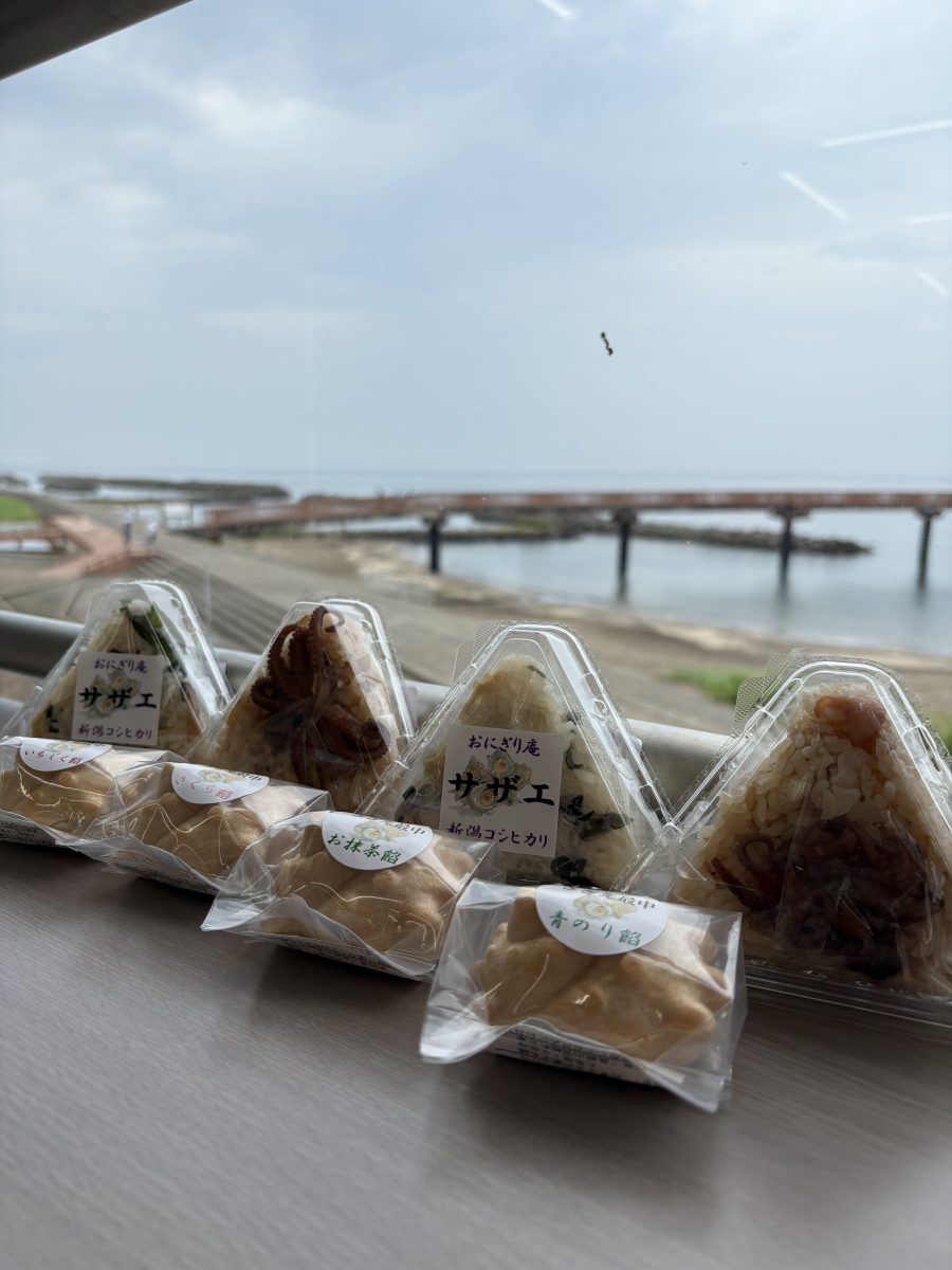 サタナビin出雲崎町